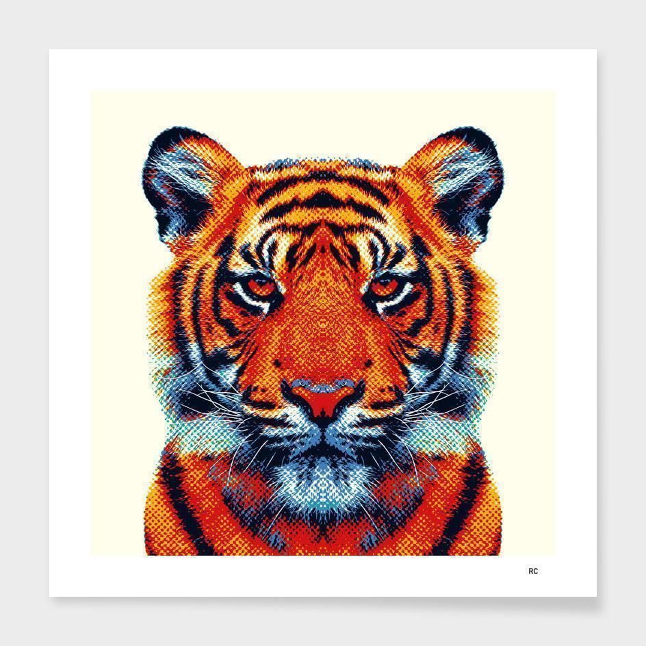 Tiger - Colorful Animals  Frame