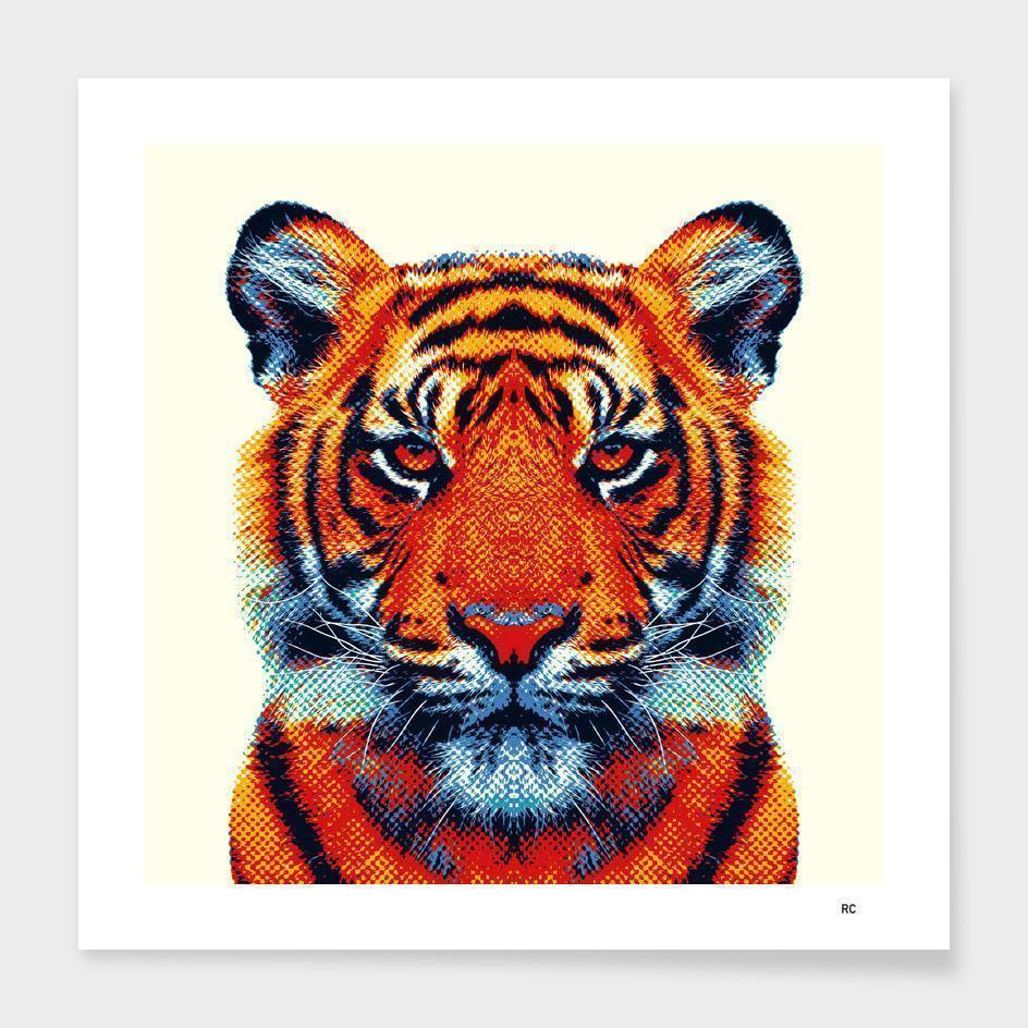 Tiger - Colorful Animals  Frame